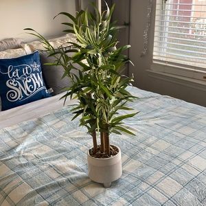 Beautiful Zen Fake Bamboo Plant